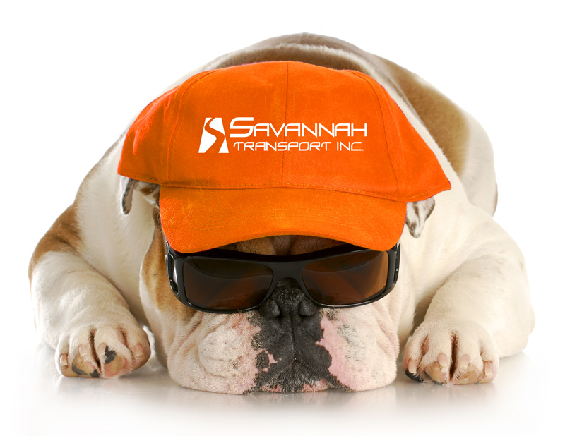 Hazmat truck driver jobs include Savannah's liberal pet policy